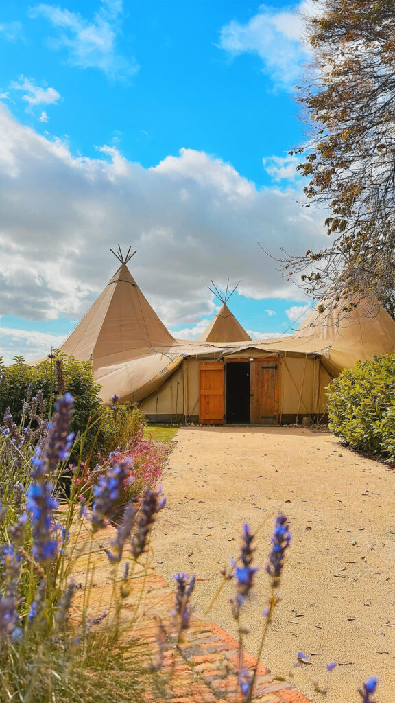 Tipi_AI_03